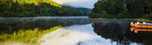 Đại gia Trung Quốc dẫn đầu cuộc đua giành thẻ xanh Mỹ