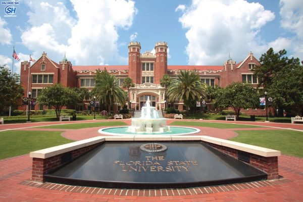 Tổng hợp các trường đại học chất lượng có mức học phí phải chăng nhất bang Florida