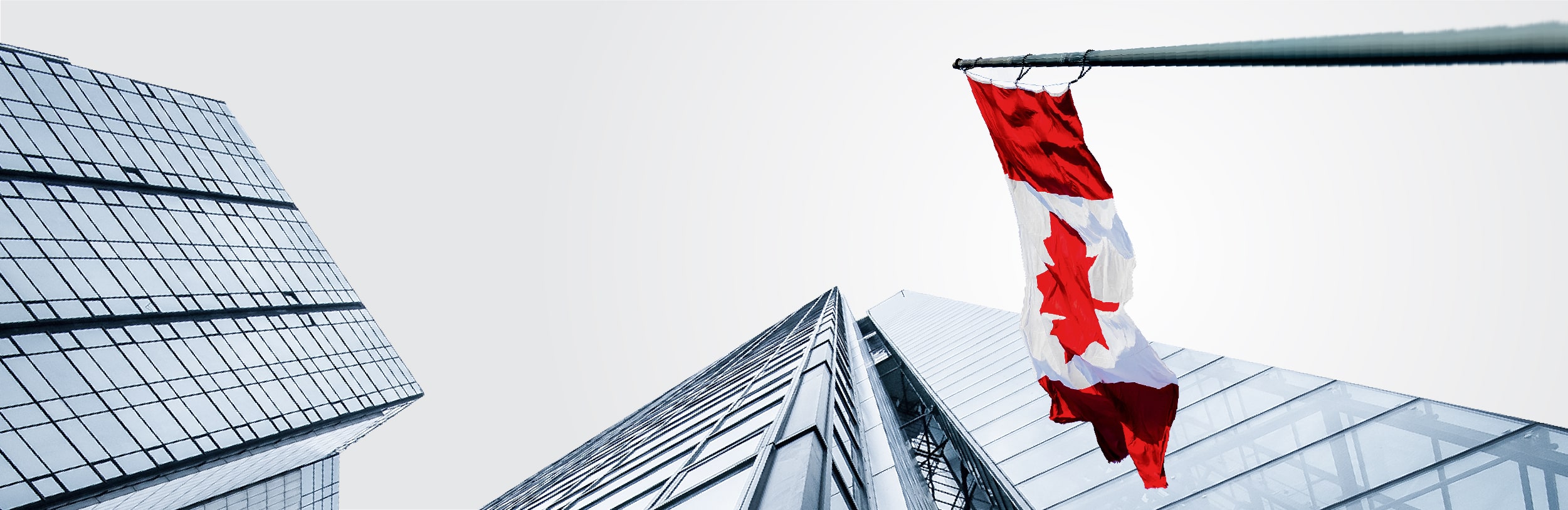 Định cư Canada diện doanh nhân tỉnh bang PEI - Điểm chọn lọc hồ sơ tháng 11 giảm còn 62 - IMM Group