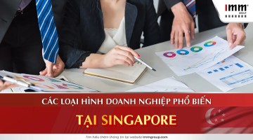 Các loại hình doanh nghiệp phổ biến tại Singapore